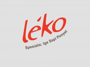 leko website 1